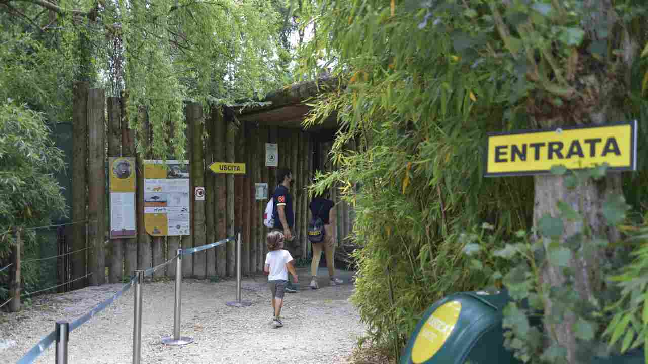 Parco Natura Viva Bussolengo Bisonte Europeo