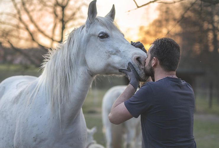 cavallo Pet Therapy