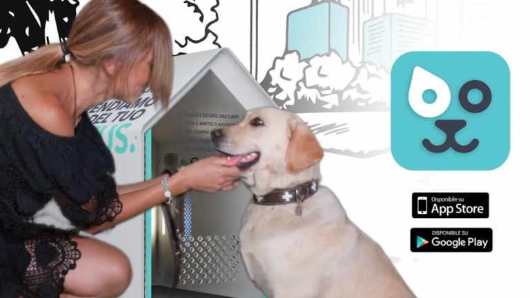 Le Cucce Smart di Roofus: per controllare i propri cani fuori dai supermercati