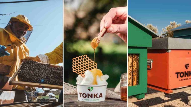 “BeeTonka”: difendere le api mangiando il gelato