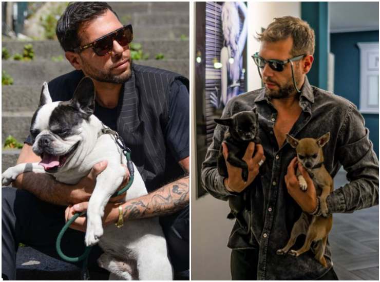 Alessandro Vicinanza e i suoi tre cani (Credits: Alessandro Vicinanza/ Instagram) - Velvetpets