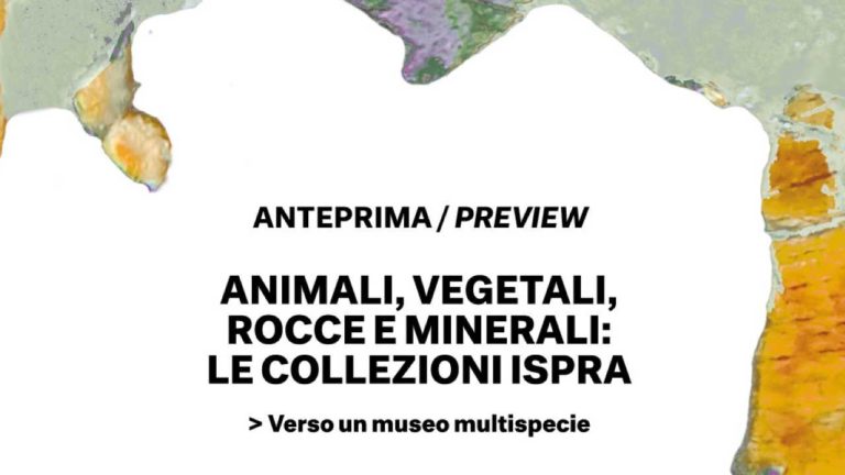 “Animali, Vegetali, Rocce e Minerali: le Collezioni Ispra” al Museo delle Civiltà