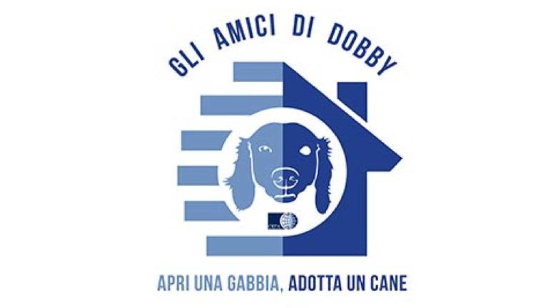 “Amici di Dobby”: nuova iniziativa di Oipa per i “cani invisibili”