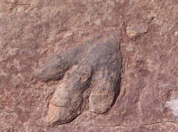 Impronta di un dinosauro