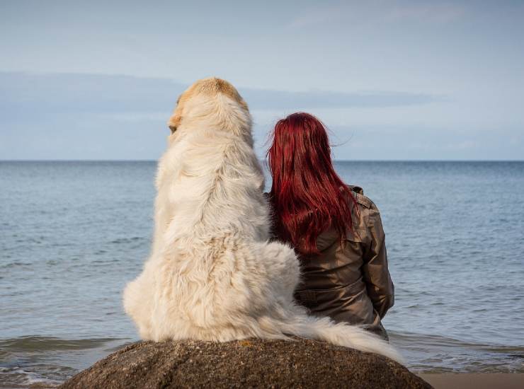 Un cane al mare con la sua proprietaria