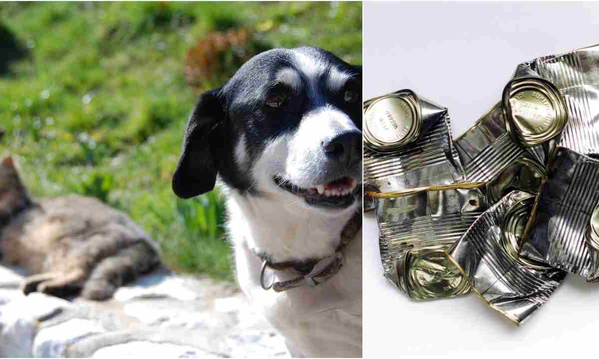 4 Coperchi In Silicone Per Lattine - Universali Per Cibo Animali E Umani, Hermetici E Colorati - Foto 4