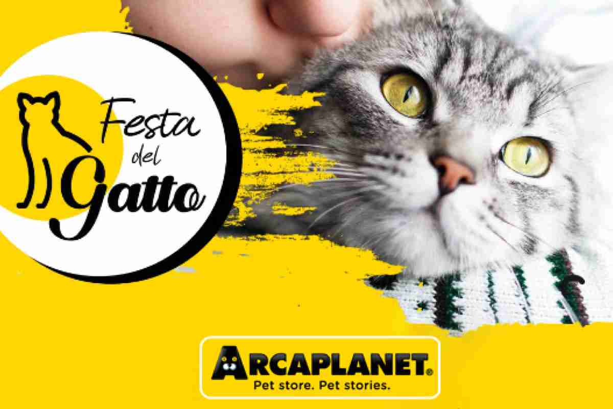 Festa del Gatto con Arcaplanet