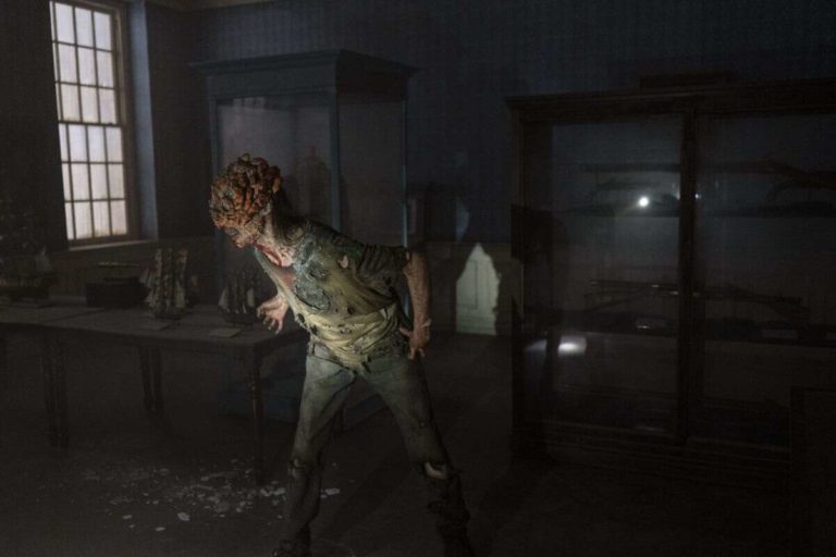 Cordyceps, il fungo che rende gli insetti zombie come in “The Last of Us”
