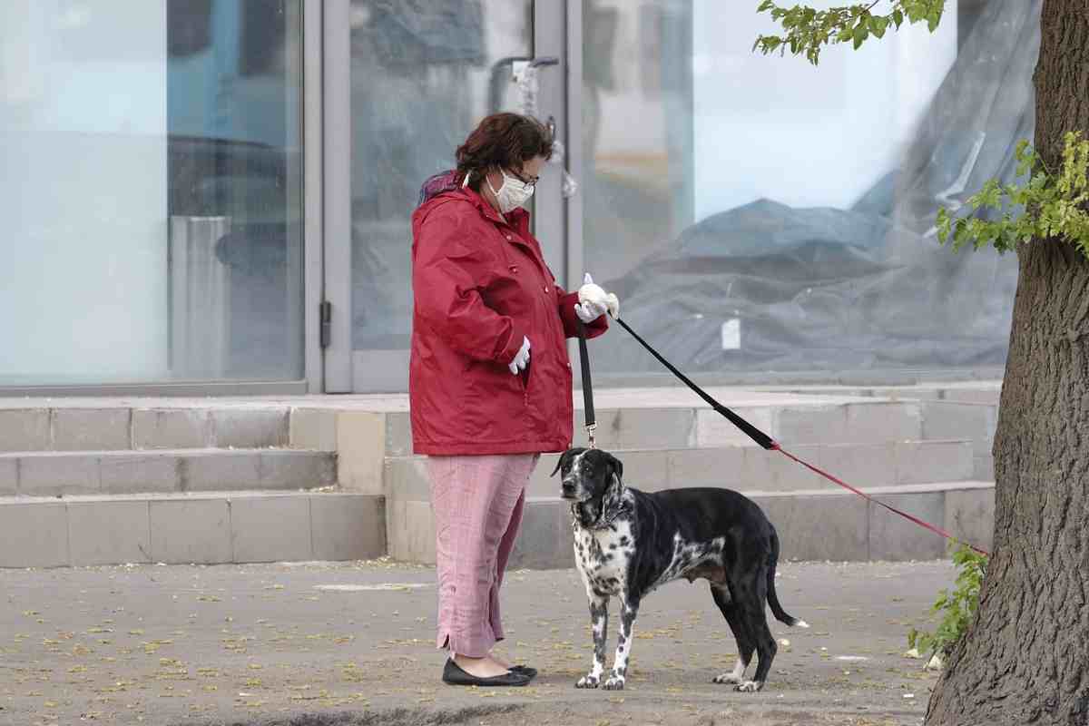 Test del DNA sugli escrementi dei cani