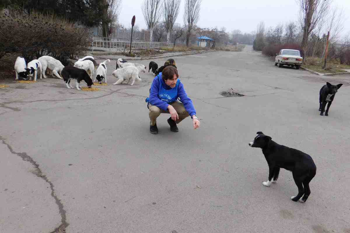 Guerra in Ucraina volontari Save the Dogs