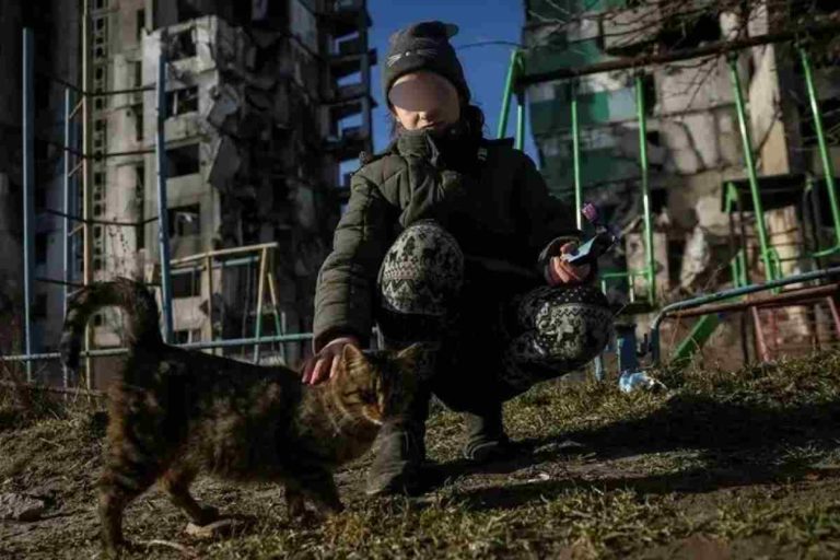 Bambina ucraina salva i gatti abbandonati