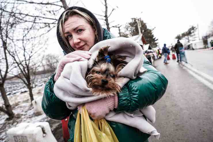 Donna ucraina e cane