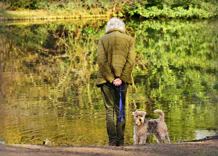 cane e anziana