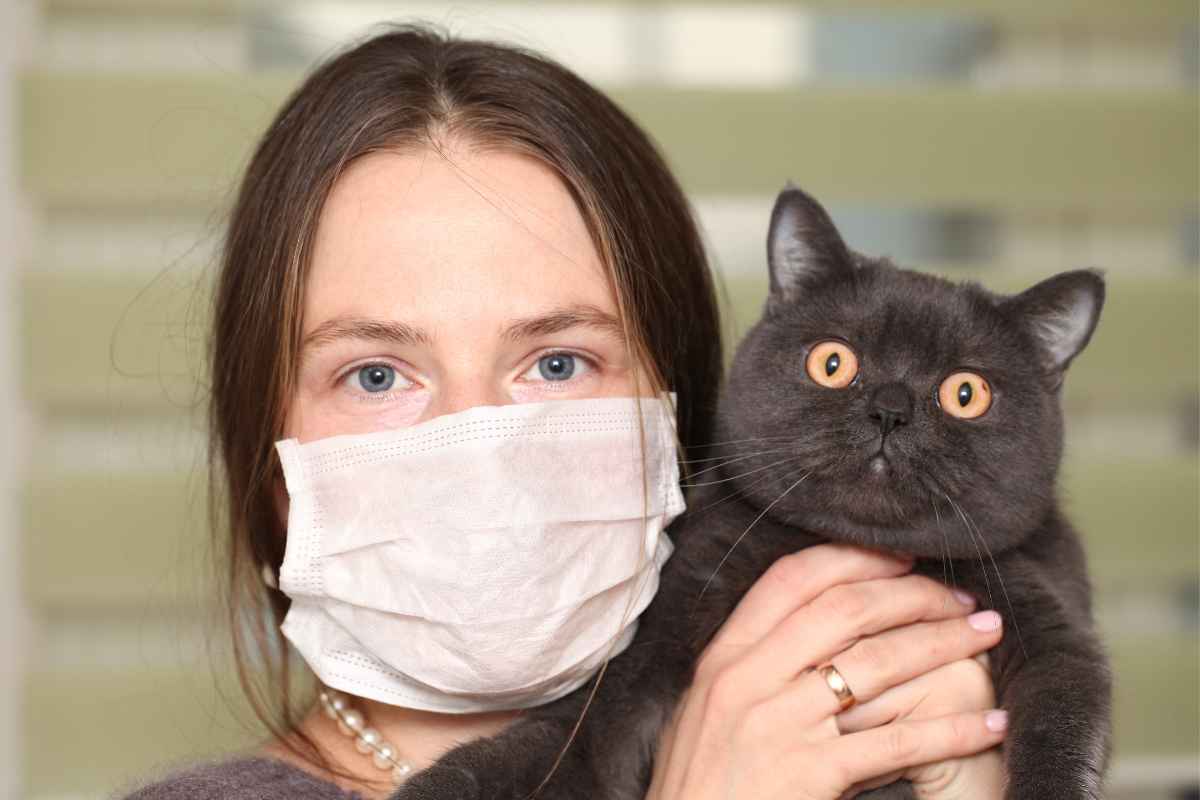 Toxoplasmosi come contribuisce l'uomo