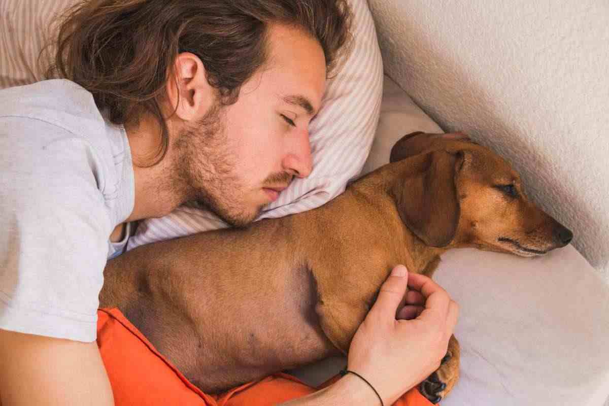 cane che dorme insieme al suo umano