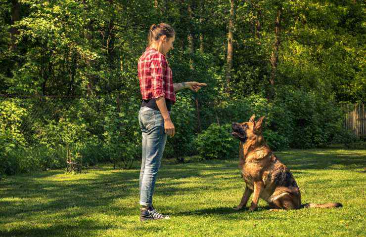cane al parco con la sua proprietaria