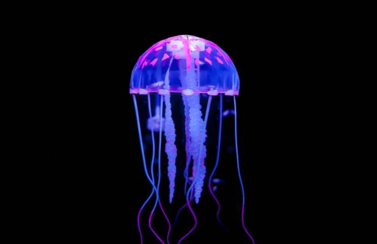 medusa in acque profonde