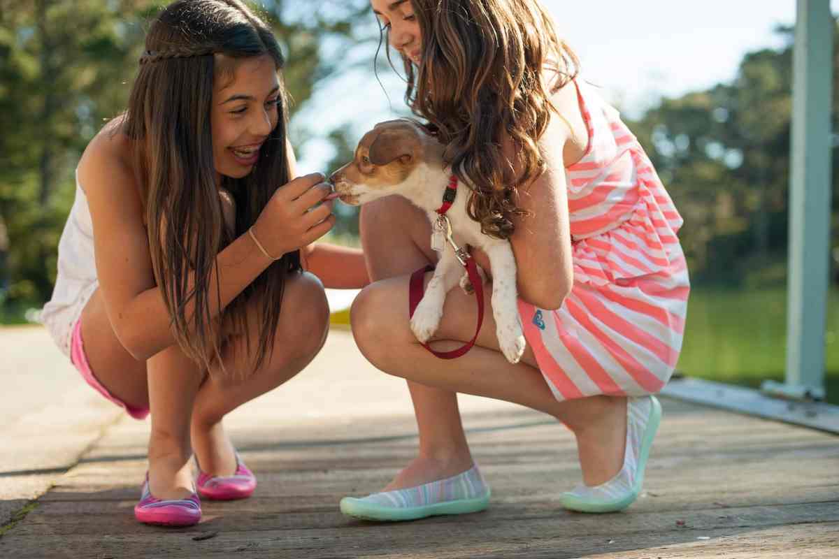 Interazioni cane e bambini