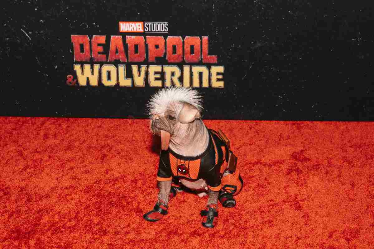 il cane di deadpool