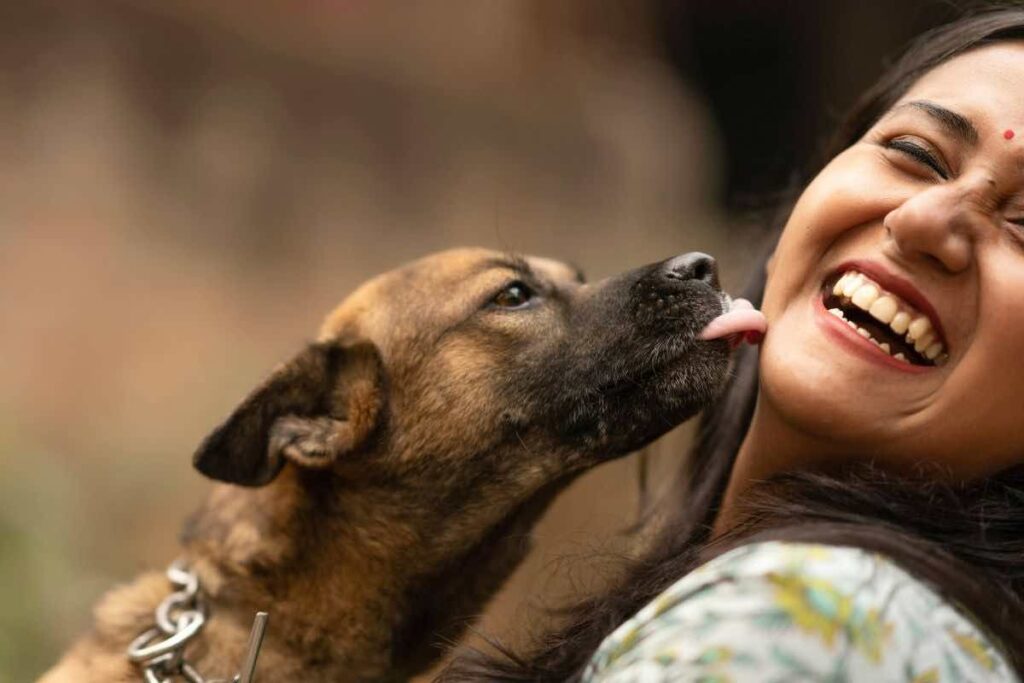 farsi leccare dai cani è rischioso