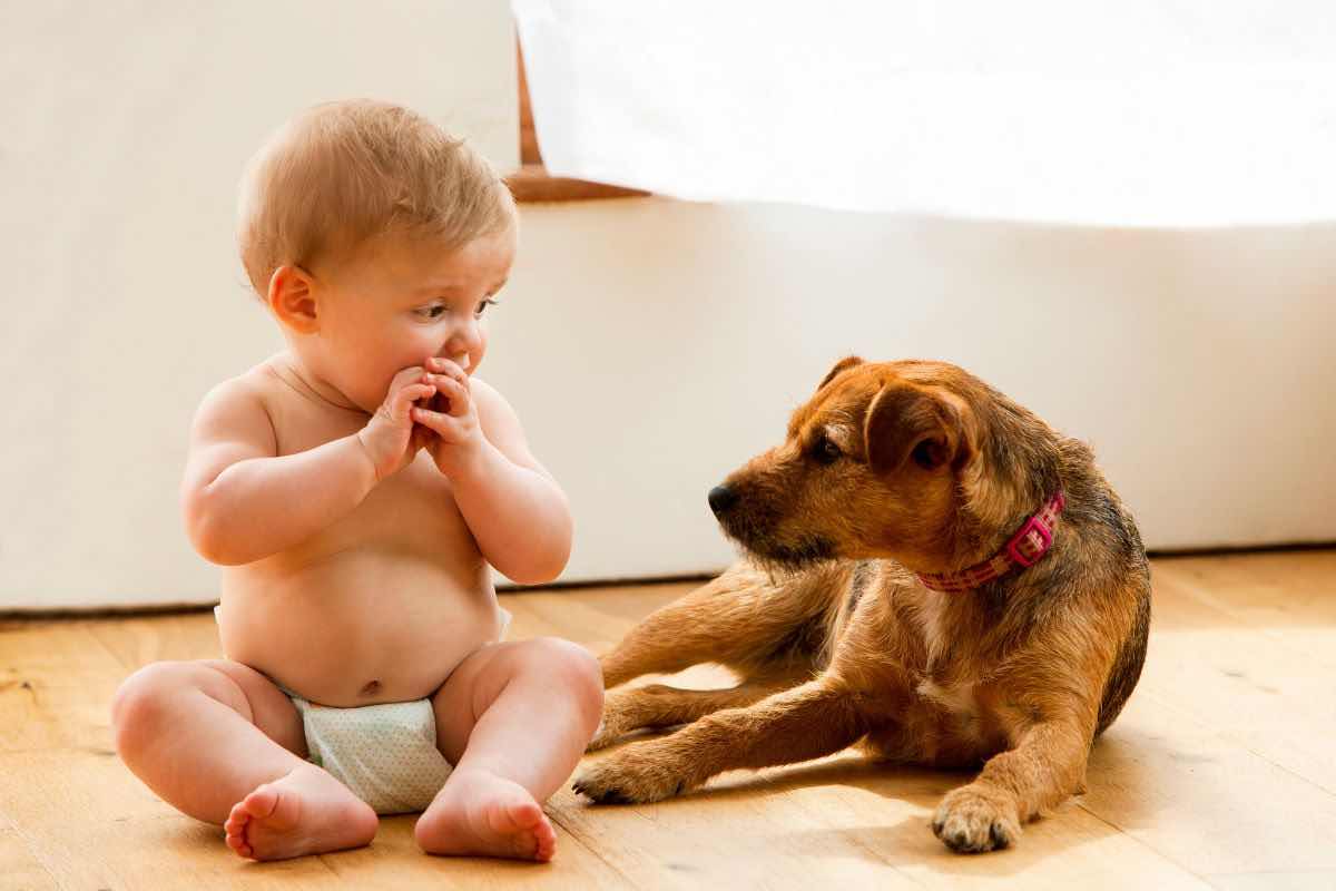 rapporto tra cane e bambino