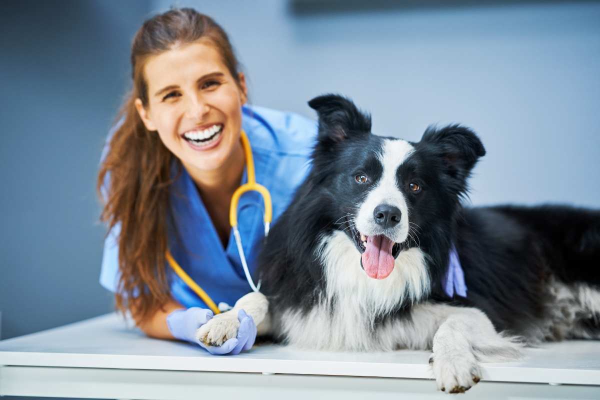 Se il cane non abbaia dovresti andare dal veterinario 